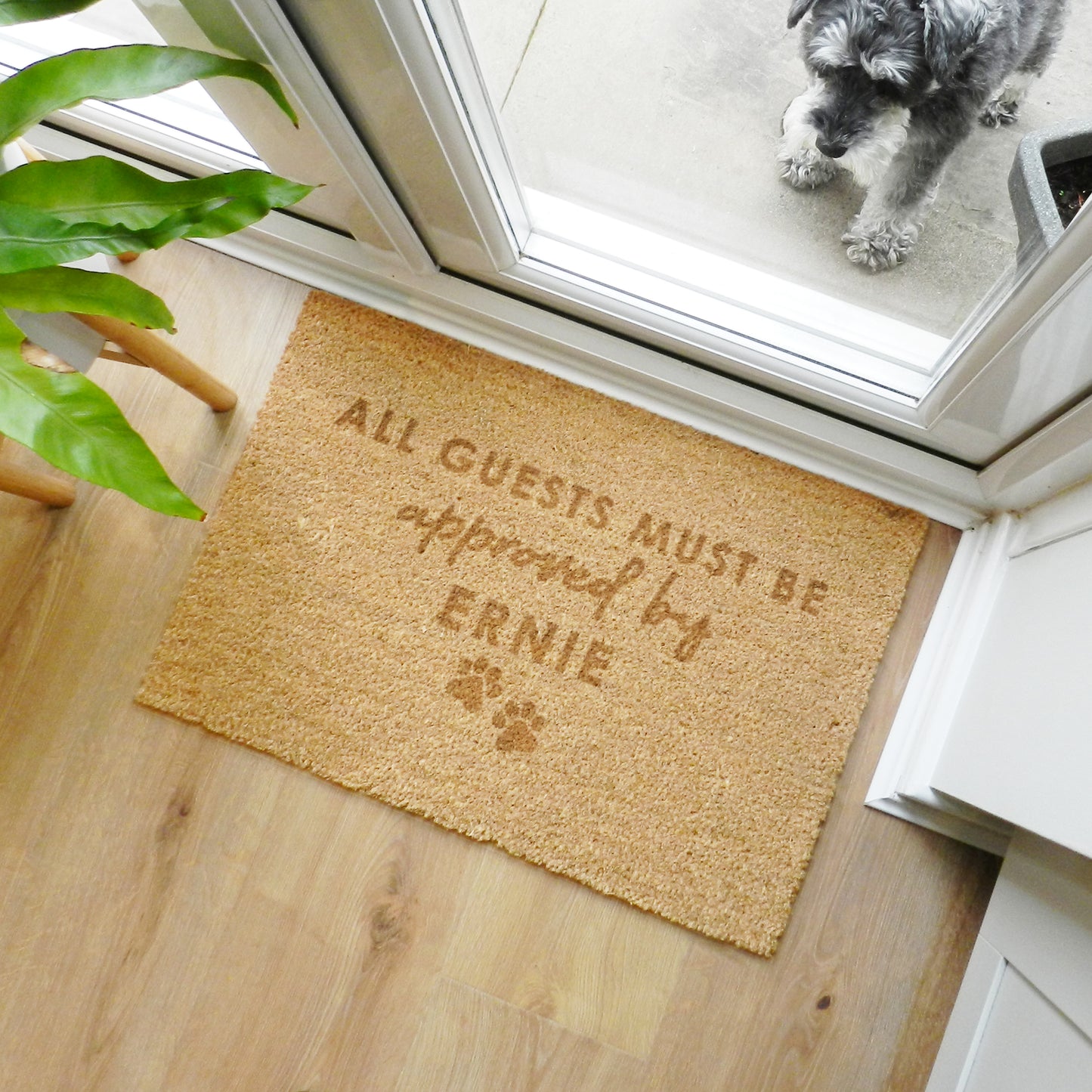 Personalised Approved By The Pet Indoor Doormat